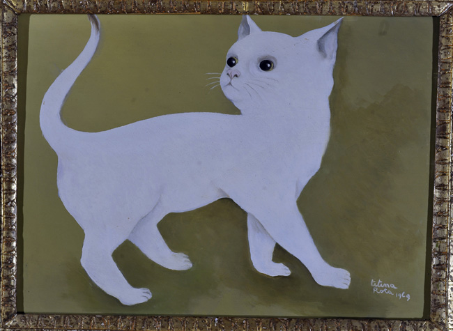 Gatto bianco, 1969